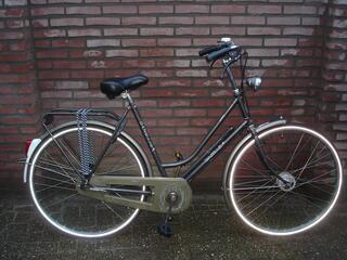 Gazelle Solide