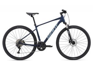 Giant Roam 1