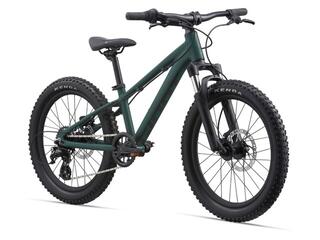 Giant STP 20
