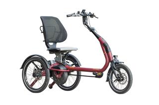 Van Raam Easyrider Compact