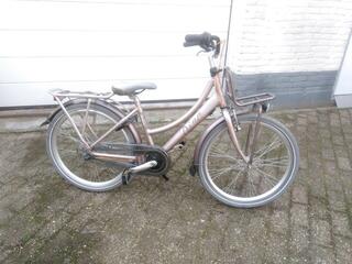 Batavus Diva