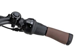 Batavus Altura E-Go Power Pro N5