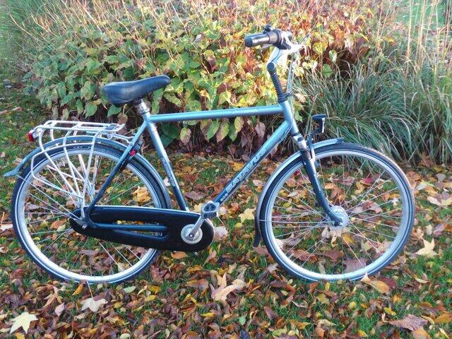 Batavus Crescendo Ltd.