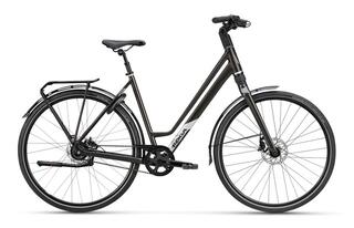 Koga F3 6.0