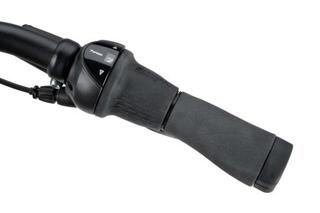 Batavus Senze Comfort