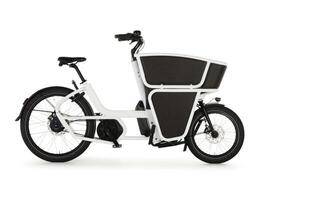 Urban Shorty Cargo Line