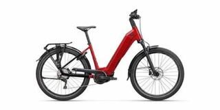 Koga Pace B05