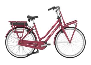 Gazelle Miss Grace C7