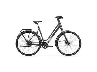 Koga F3 6.1
