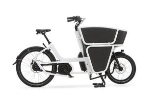 Urban Shorty Performance Line