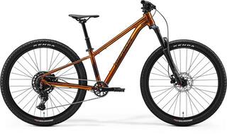 Merida Matss J. Champion XXS 8V