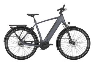 Gazelle Ultimate C5+ HMB heren 600Wh
