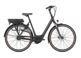 Gazelle Orange C8+