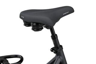 Batavus Finez PT Exclusive Plus 2