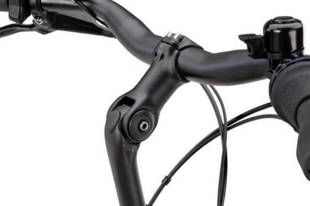 Batavus Altura E-Go CP Plus N7