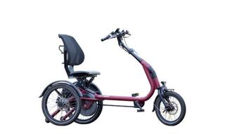 Van Raam Easy Rider Compact DEMO 10