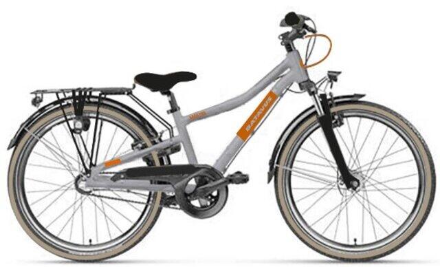 Batavus Booster HR3 Gray 24"