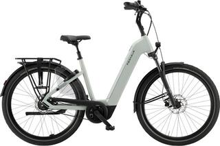 Pegasus Ravenna EVO 8F Belt 600wh
