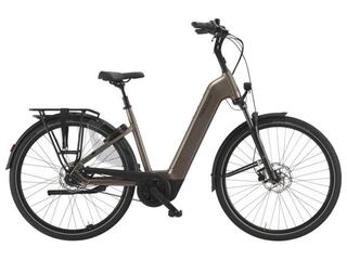 Pegasus Ravenna EVO 7F Belt 540wh