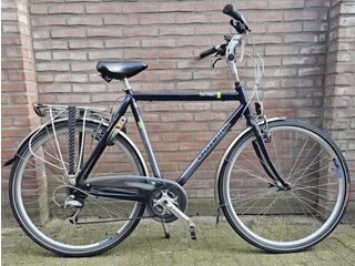Gazelle medeo