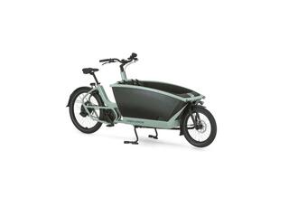 Urban Family Active Plus 50Nm - 545Wh