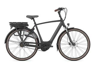 Gazelle Orange C8+