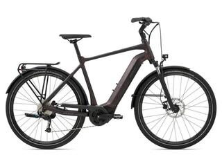 Giant DailyTour E+