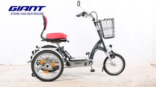 Van Raam Easy Go 880Wh
