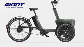 Van Raam Thuja Smooth Enviolo