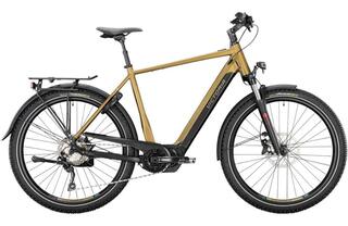 Victoria MP-HART-095 E-Bike
