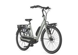 Gazelle Bloom C310