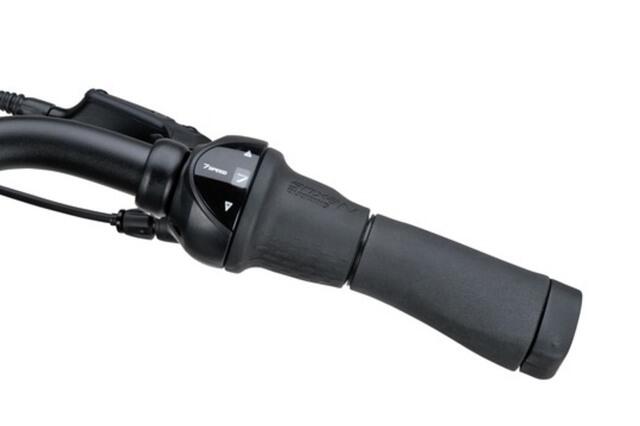 Batavus Senz Exclusive