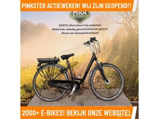 Trek LM Editon+ Elektrische fiets met BOSCH m