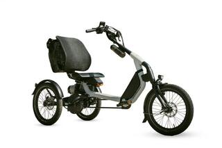 Van Raam Easy Rider Explore 522WH