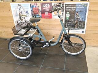 Van Raam Maxi