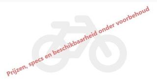 Batavus Dinsdag