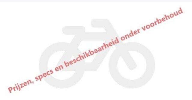 Batavus Dinsdag