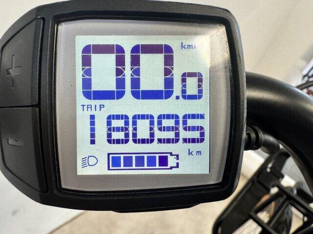 Batavus Quip E-go&reg; Extra Cargo 300Wh