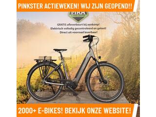 VanDijck Juno Elektrische fiets met Kreutzer U5 m
