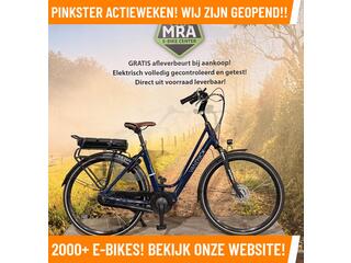 VanDijck Phaedra Elektrische fiets met Bafang mid