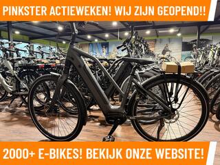 VanDijck 