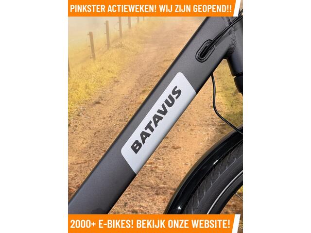 Batavus Altura Elektrische fiets met BOSCH BES3