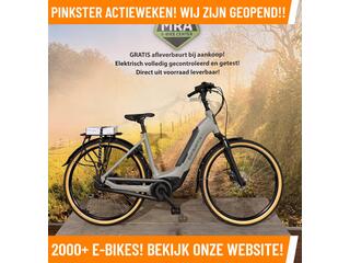 Sparta C-Grid fit Elektrische fiets met BES 3 m
