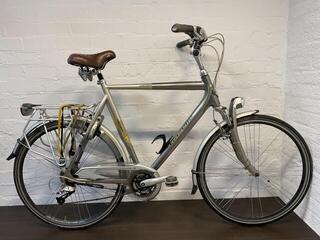 Gazelle medeo