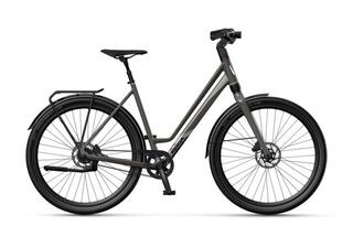 Koga F3 6.0