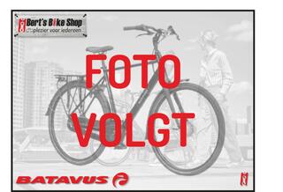 Batavus Winner LTD