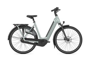 Gazelle GRENOBLE C8 HMB L57 Light olive