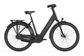 Batavus Finez PT