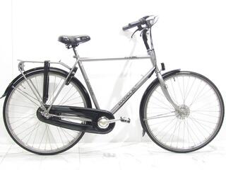 Batavus Future
