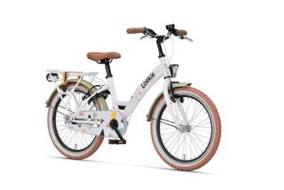 Batavus Superstar 20 Inch